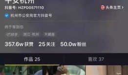 平安抖音爆料事件视频完整版,完整版视频揭秘真相与争议